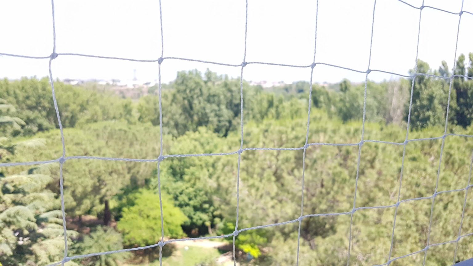 Rete Per Gatti Nobleza 8x3 M | Trasparente E Resistente | Per Balconi, Finestre E Terrazzi | Kit Installazione Incluso - Foto 10